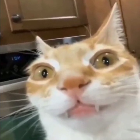 maryzma